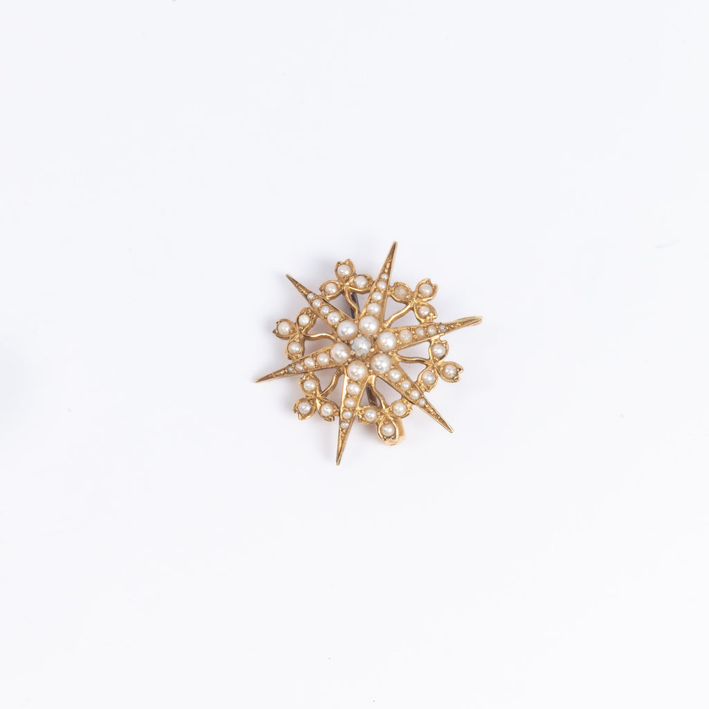 Pearl Star Brooch